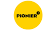 Grupo Pionier